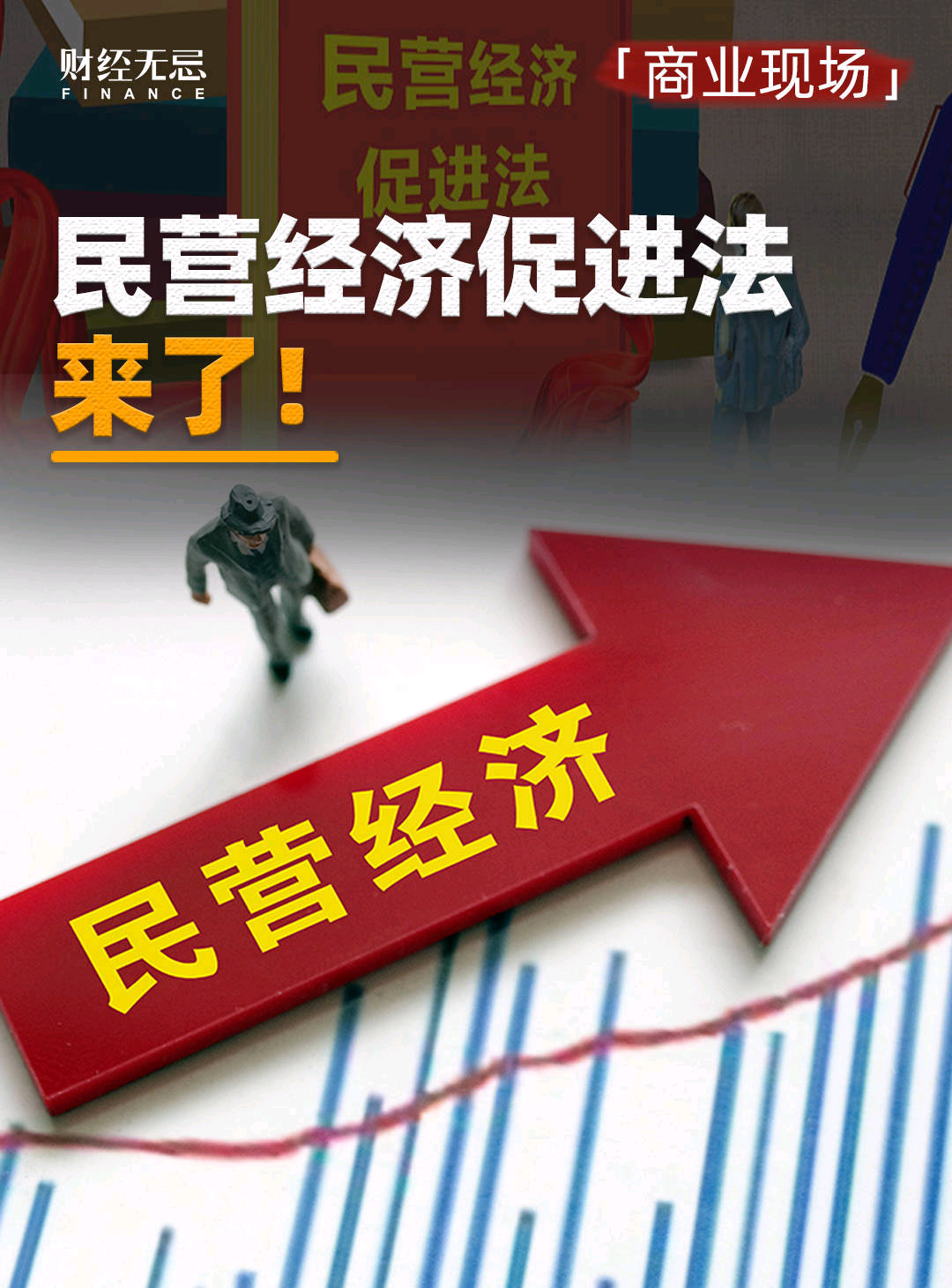 中华人民共和国民营经济促进法