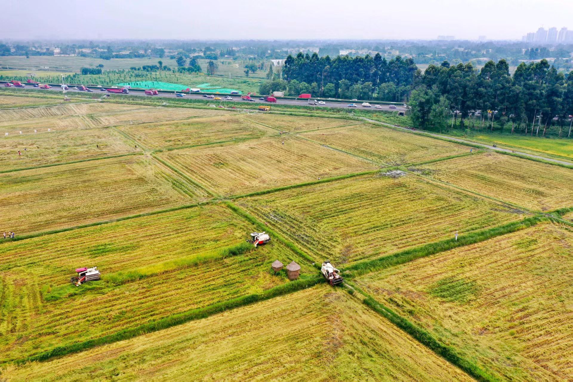 《永久基本农田保护红线管理办法》公布！自2025年10月1日起施行