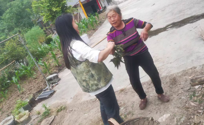 粽叶飘香迎端午 暖心善举慰乡翁